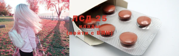 хмурый Кодинск