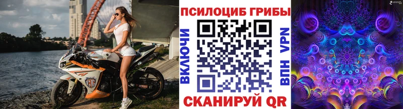 даркнет наркотические препараты  Бутурлиновка  Псилоцибиновые грибы MAGIC MUSHROOMS 