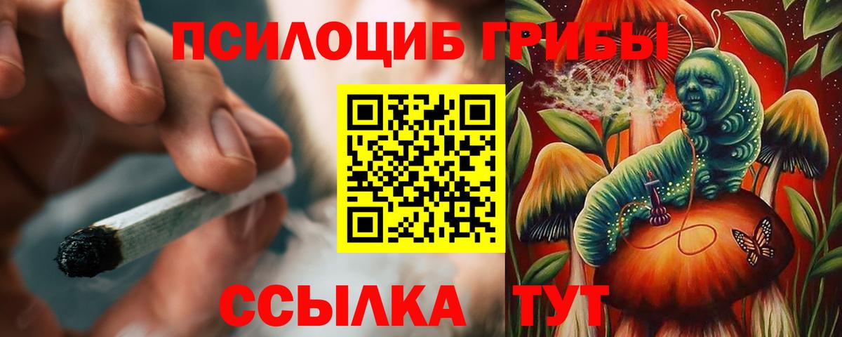 Галлюциногенные грибы Psilocybine cubensis Бутурлиновка